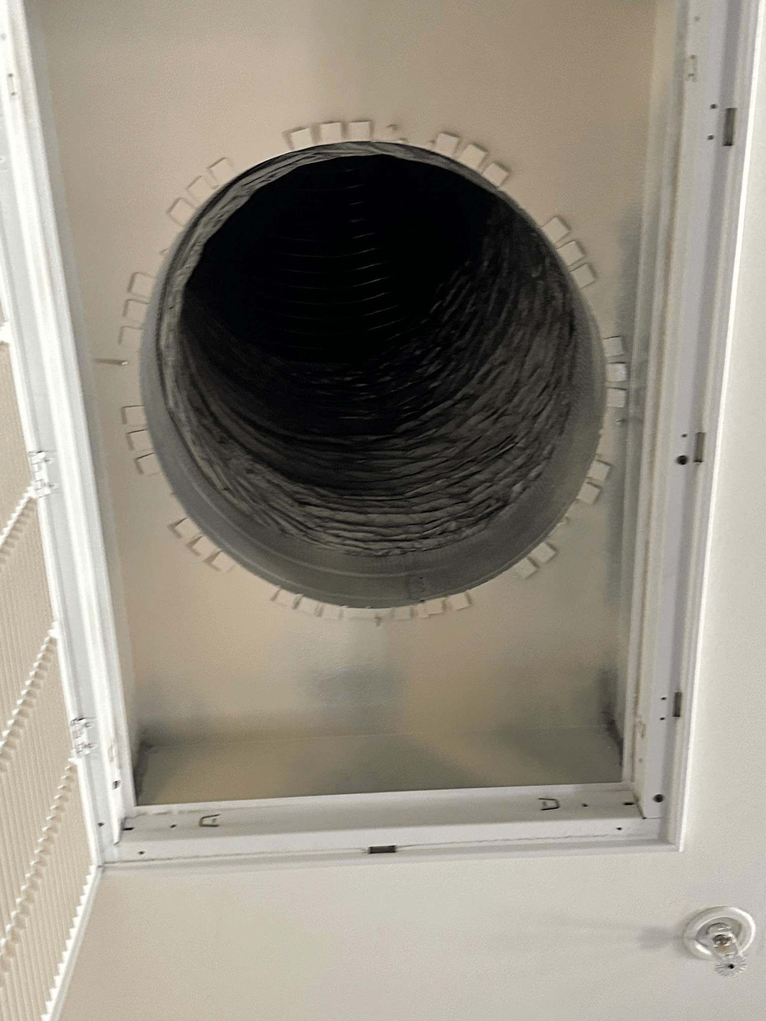 Dryer vent cleaning project 6